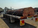 Reclaimed Logs