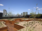 Spotted Gum Decking - The Quays