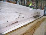 75mm Thick Spotted Gum Slab