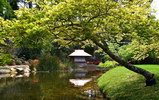 Tea House - Japanese Garden
